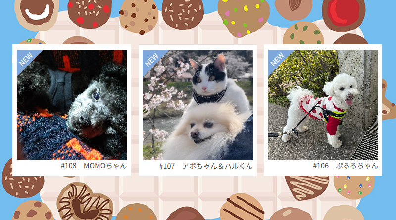 ≪NEW★癒しのペット≫MOMOちゃん、アポちゃん＆ハルくん、ぷるるちゃん