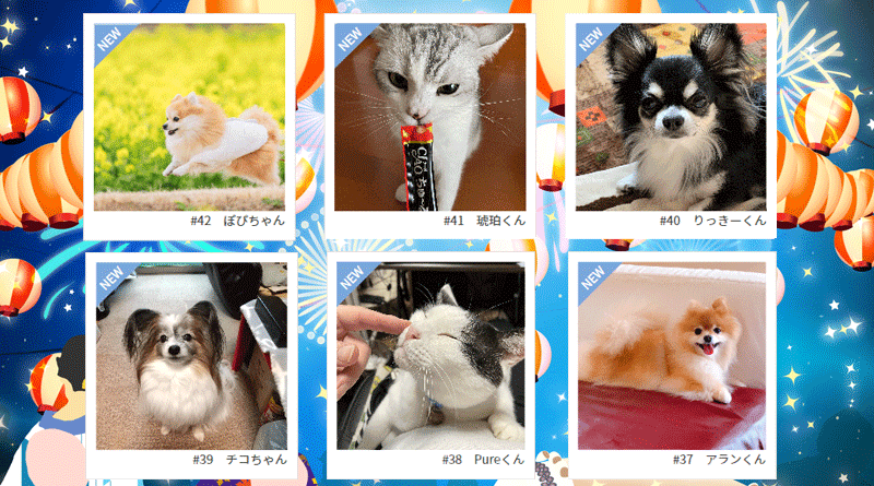 ≪NEW★癒しのペット≫ぽぴちゃん、琥珀くん、りっきーくん、チコちゃん、Pureくん、アランくん