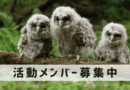 神於山での「フクロウが棲む森づくり」参加者を募集しています！