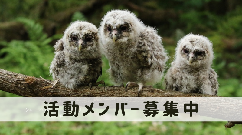 神於山での「フクロウが棲む森づくり」参加者を募集しています！