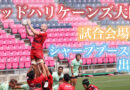 レッドハリケーンズ大阪の試合会場にシャープブースを出展