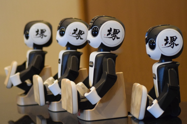 RoBoHoNs (Sakai Robot Tour version) await their guests