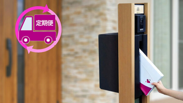 「マスク定期便サービス」のイメージ（毎月自宅のポストに到着）